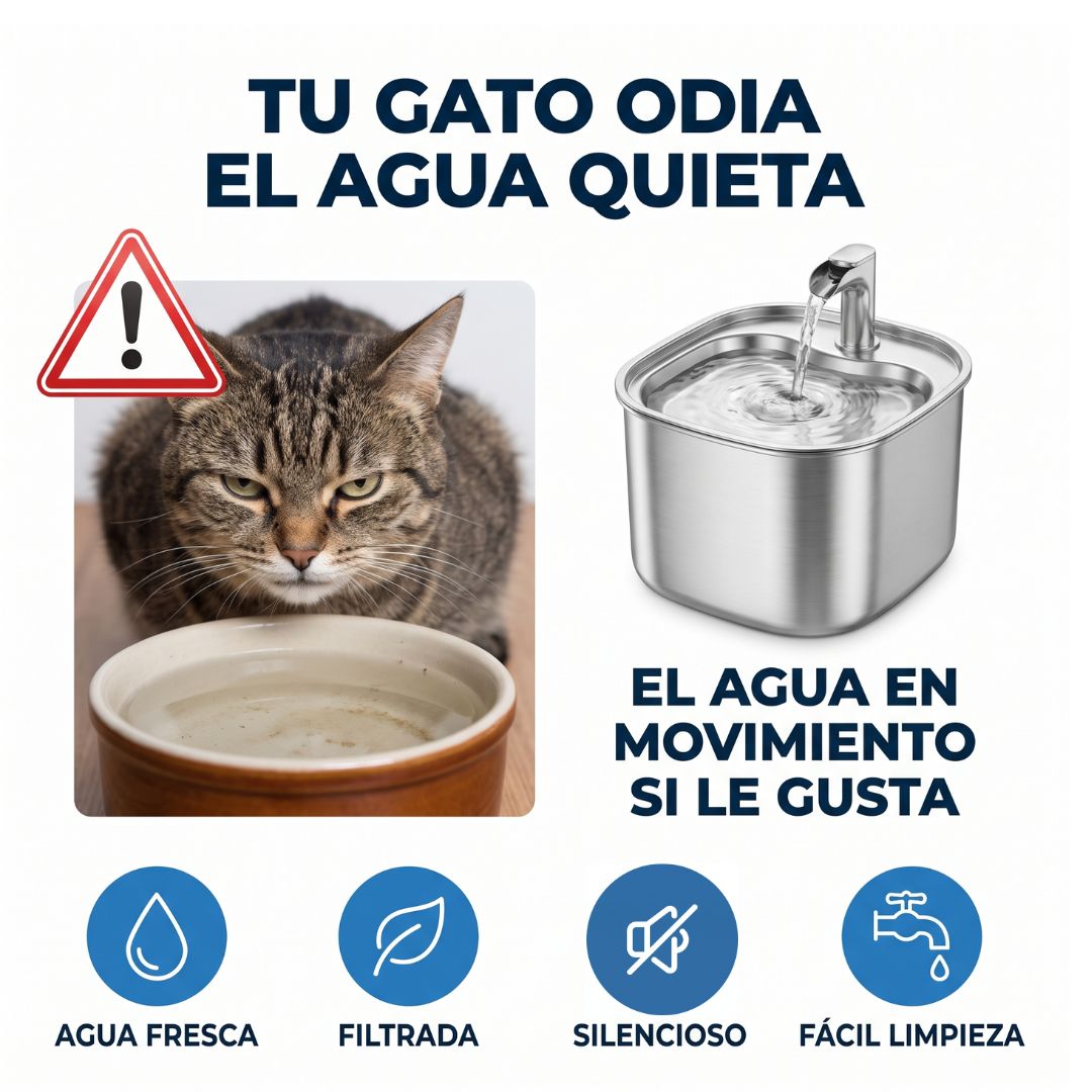 Fuente de agua inoxidable para gatos