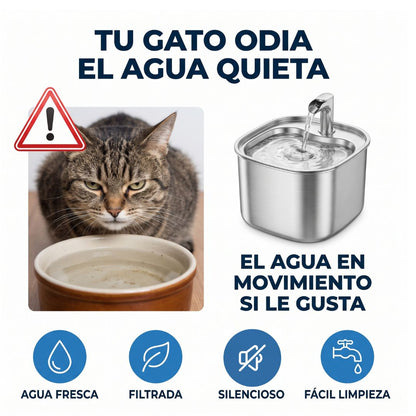 Fuente de agua inoxidable para gatos
