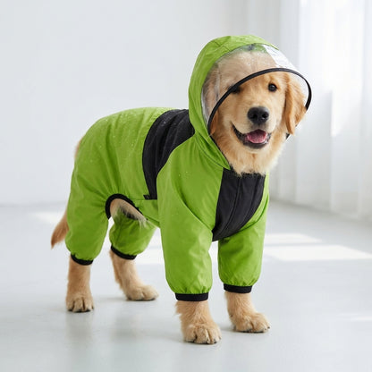 Dog Raincoat That Keeps Your Pup Dry