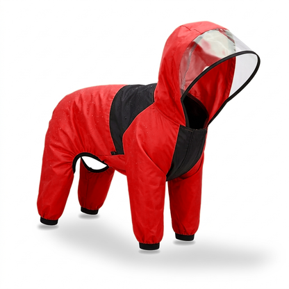 Dog Raincoat That Keeps Your Pup Dry