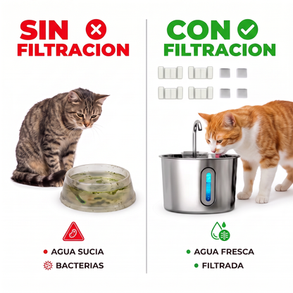 Fuente de agua inoxidable para gatos